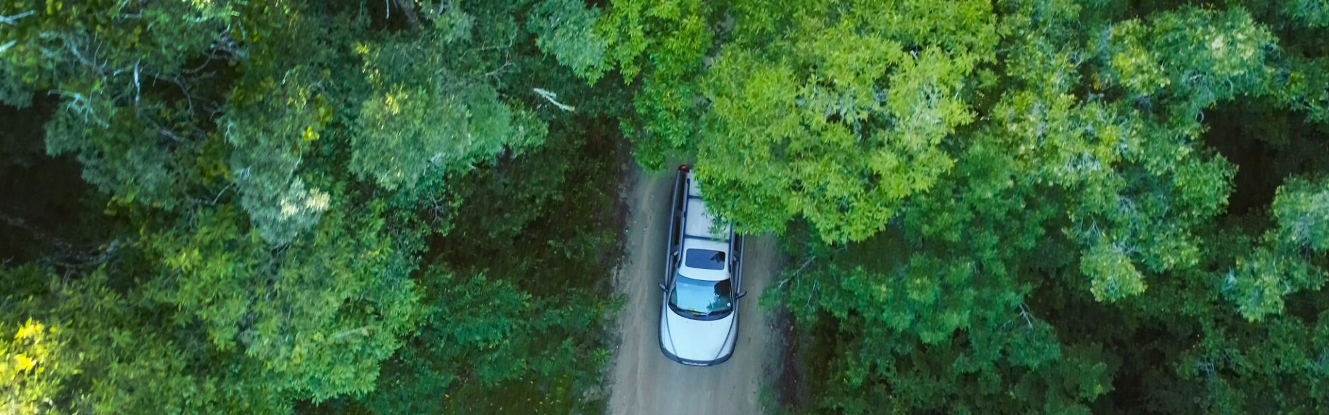 sanparks rooted in time self-drive tour