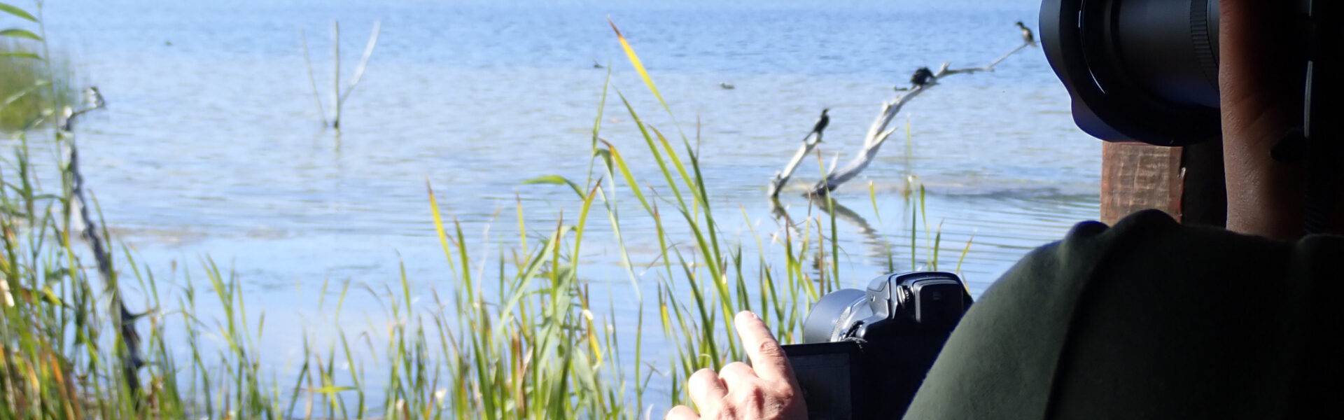 Rondevlei Bird Hide, Sedgefield