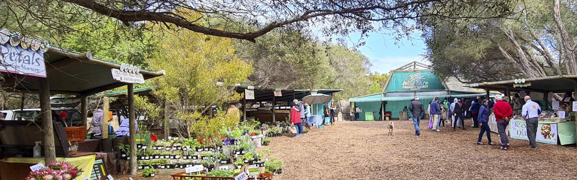 Wild Oats Farmers’ Market, Sedgefield