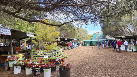 Discover the markets of the greater Knysna area