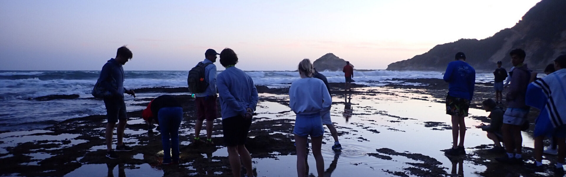Swartvlei Beach to Gericke’s Point, Sedgefield