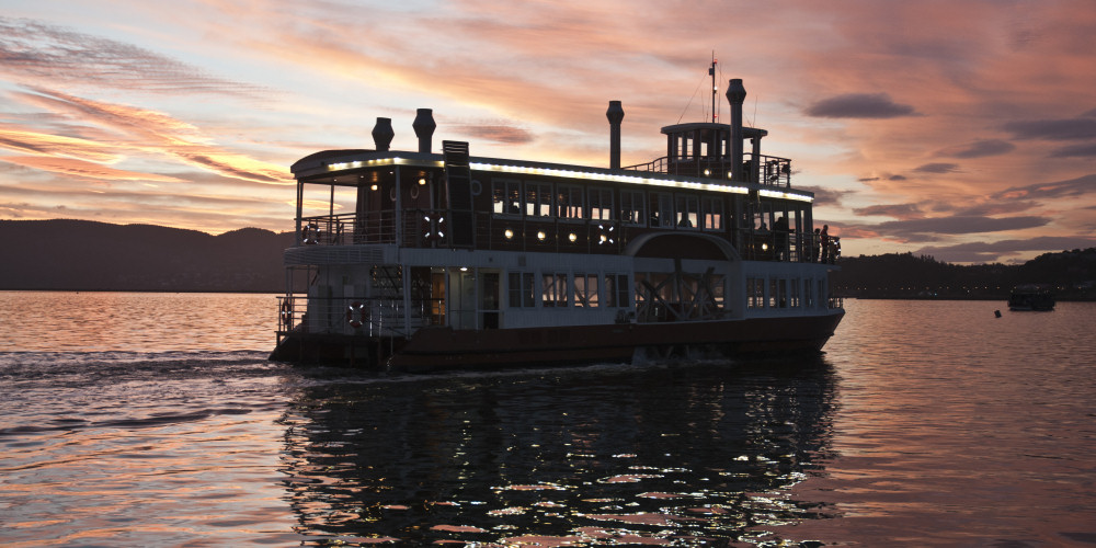 The Paddle Cruiser