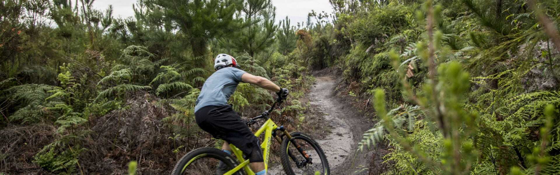 Garden Route Trail Park