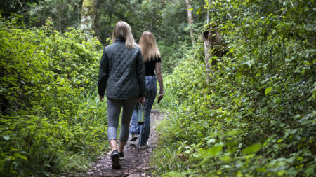 Sedgefield/Wilderness hiking trails