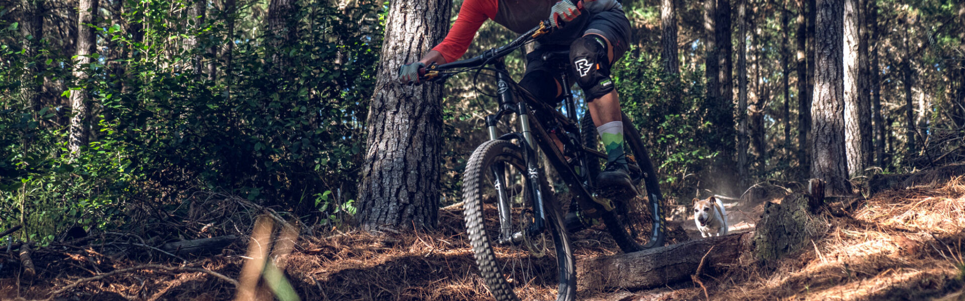 Concordia Contour Trails Knysna