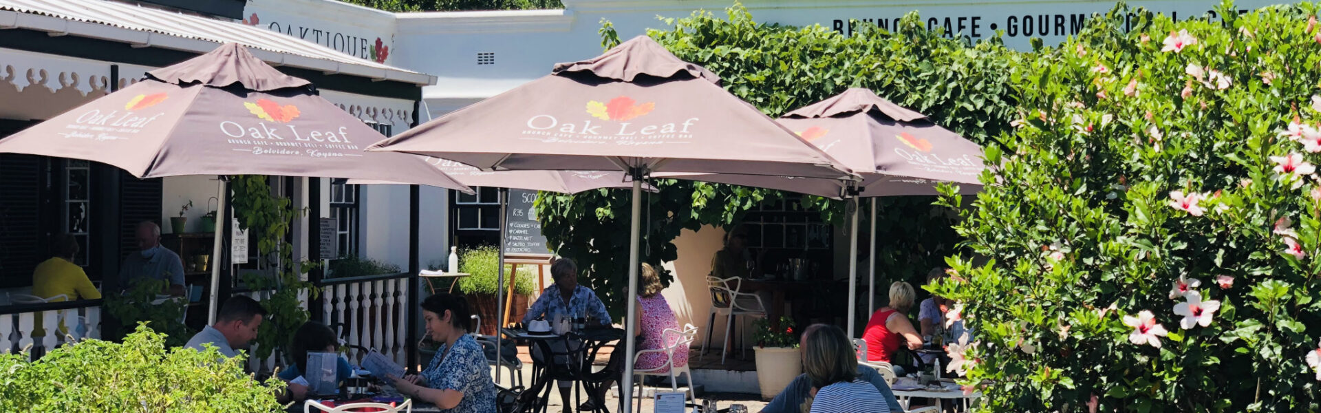 Vegan and vegetarian food experiences in the area