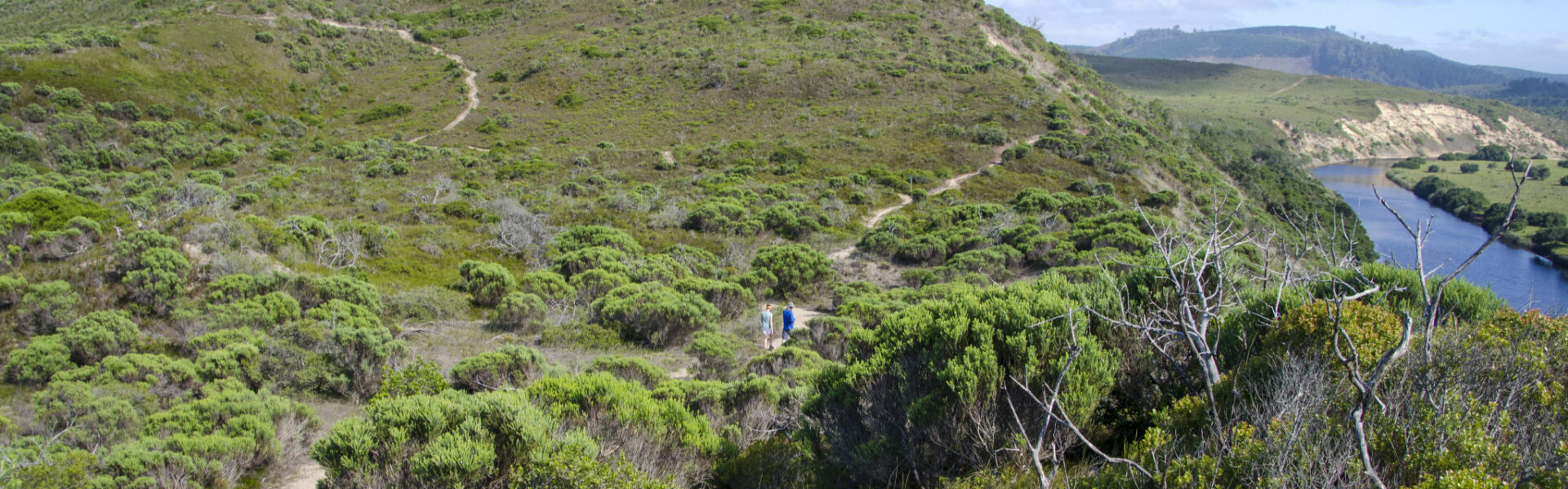 Goukamma Estuary