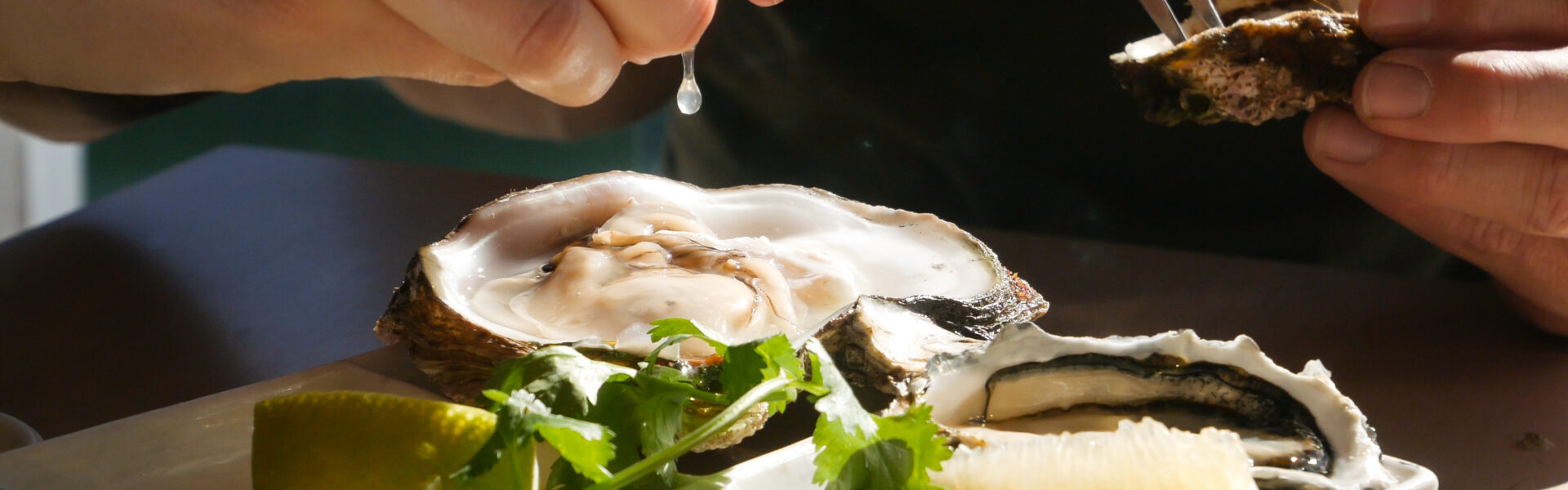 Oysters
