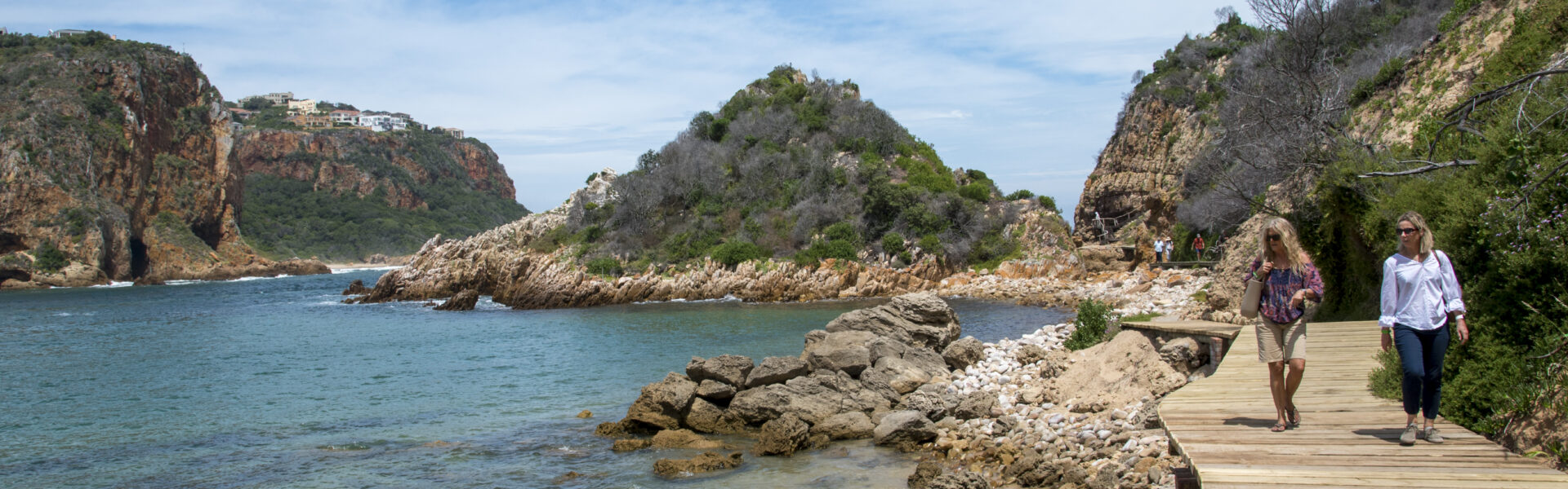 Featherbed Nature Reserve walkway