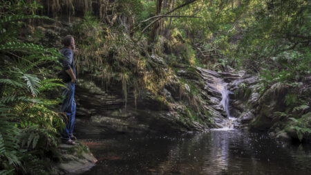 Knysna is open for business and welcomes visitors to a water-wise destination