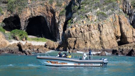 Skyfall Ocean Adventures